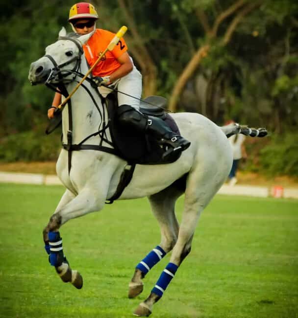 Jaipur Horse Riding Adventure - Final Thoughts