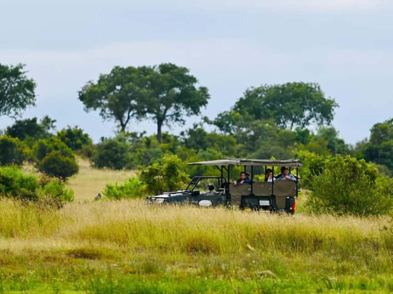 Jaipur: Jhalana Amagarh Leopard Reserve 4×4 Jeep Safari - Why This Safari Is a Great Choice for You
