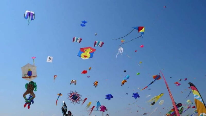 Jaipur: Makar Sankranti Kite Festival with Local Family - Final Thoughts