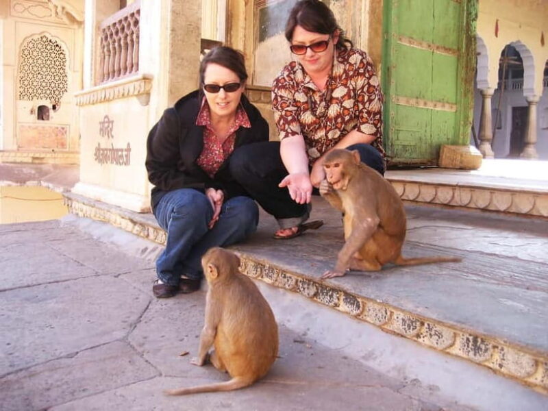 Jaipur: Private Full-Day Pink City Tour with Monkey Temple - What’s Included and What’s Not
