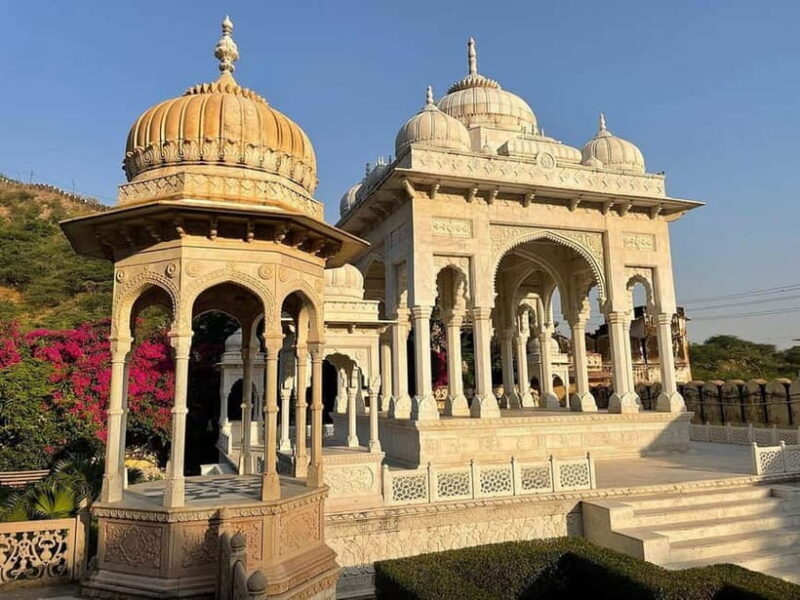 Jaipur: Private Full-Day Pink City Tour with Monkey Temple - Value in Context
