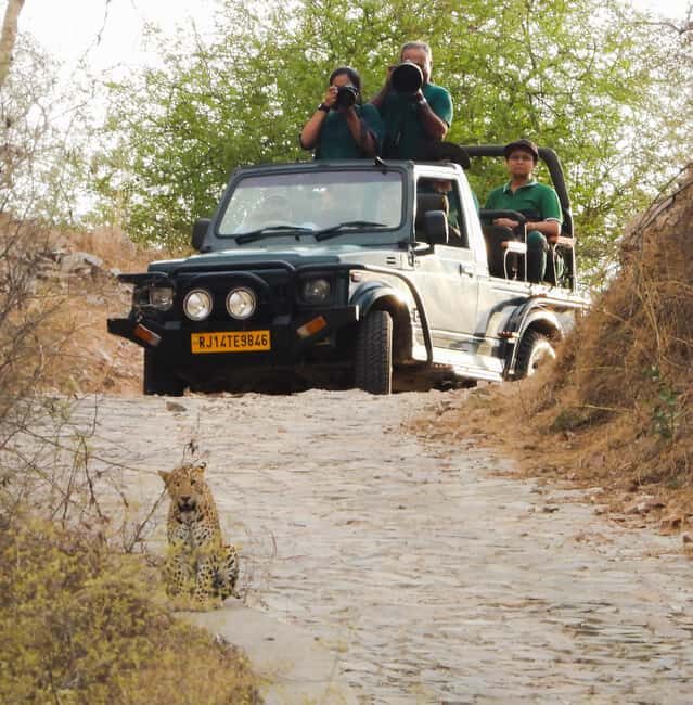 Jaipur: Private Jhalana Leopard Safari Tour - Who Should Consider This Tour?