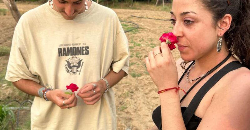 Jaipur: Private PinkCity & Stepwell Heritage Tour with Guide - Exploring Jaipur’s Highlights in Depth