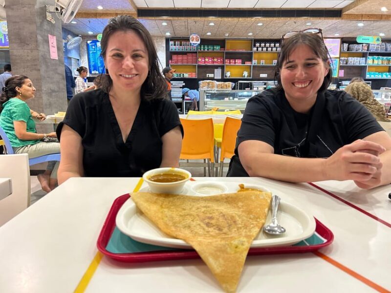 Jaipur: Private PinkCity & Stepwell Heritage Tour with Guide - The Experience You Can Expect