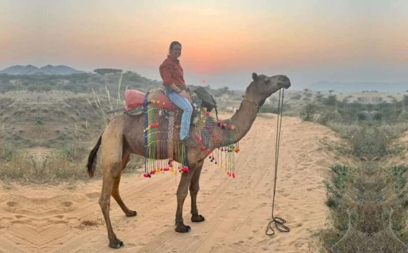 Jaipur: Pushkar Day Trip with Optional Camel Safari - Final Thoughts