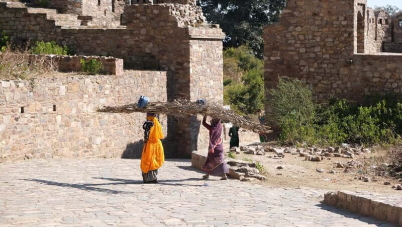 Jaipur: Same-Day Bhangarh Fort & Chand Baori Stepwell Tour - Who Should Consider This Tour?