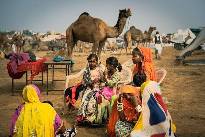 Jaipur to Pushkar Day Trip with Lakeside Lunch - Jaipur to Pushkar Day Trip with Lakeside Lunch: An Authentic Slice of Rajasthan