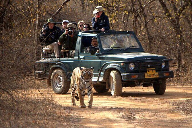 Jaipur to Ranthambore National Park Private One Day Trip - Exploring the Itinerary in Depth