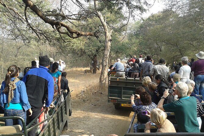 Jaipur to Ranthambore National Park Private One Day Trip - Authentic Reviews and Insights