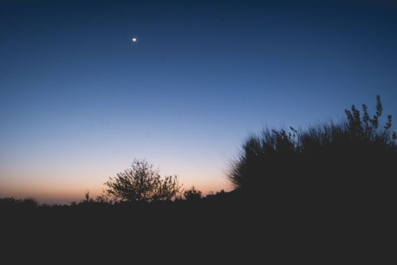 Jaisalmer: 2-Day Thar Desert Experience - Why This Tour Offers Real Value