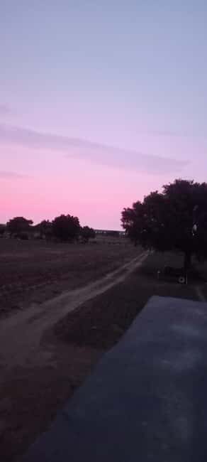 Jaisalmer: City Sightseeing with Experienced Guide - FAQ