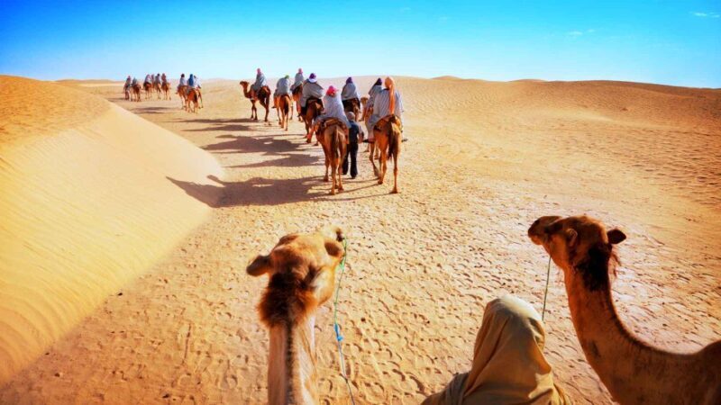 Jaisalmer: Desert safari with sunset and dinner on dunes - Who Should Consider This Tour?