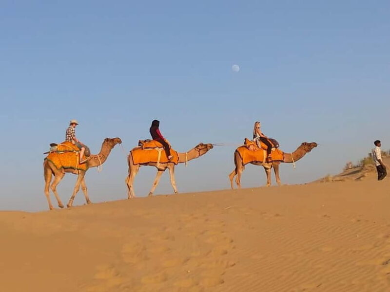 Jaisalmer: Half-Day Camel Tour with Dinner - Jaisalmer: Half-Day Camel Tour with Dinner — A Balancing Act of Adventure and Authenticity