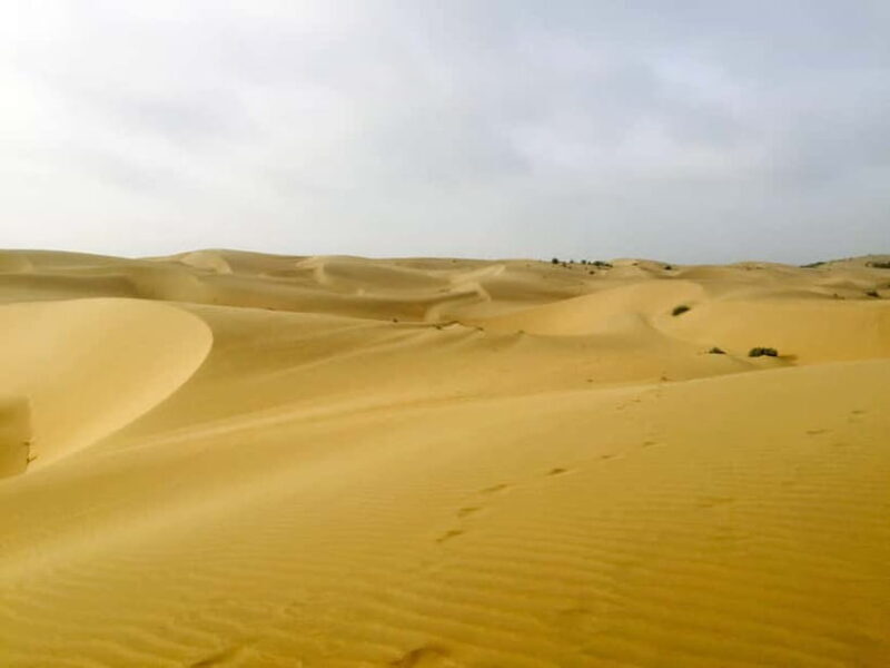 Jaisalmer: Half-Day Camel Tour with Dinner - Final Thoughts