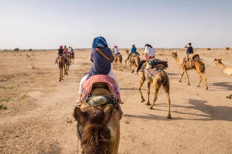 Jaisalmer: Half-Day Desert Safari with Camel Ride and Dinner - Who Will Love This Tour?
