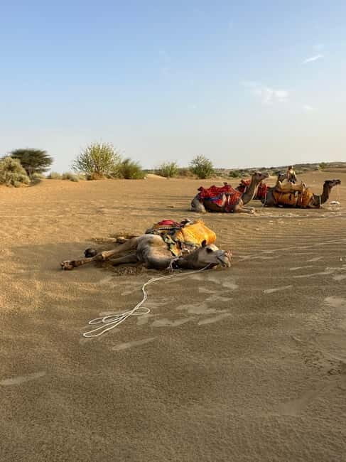 Jaisalmer: Sam Sand Dunes Sunset Tour with Camel Ride - Exploring the Sam Sand Dunes Sunset Tour in Detail