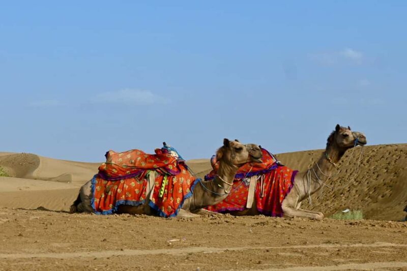 Jaisalmer: Thar Desert Sunset Camel Ride with Dinner & Show - In-Depth Breakdown of the Itinerary