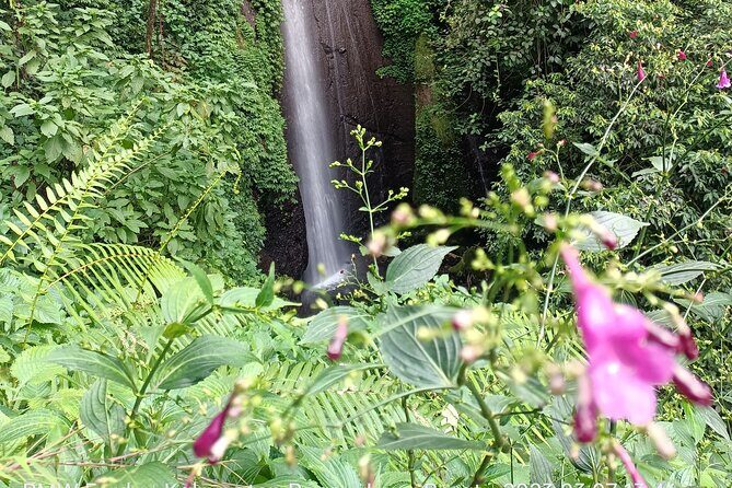Jakarta Bogor Botanical Garden, Waterfall and Rice terrace, Lunch - Final Thoughts
