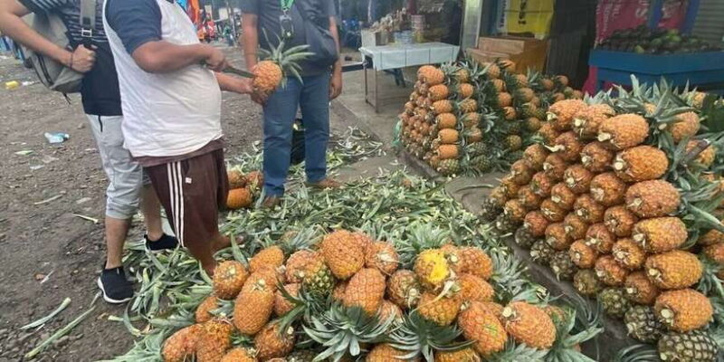 Jakarta: Volcano, Tea/Rice Fields, Hot Spring, Local Food - Who’s This Tour Best For?