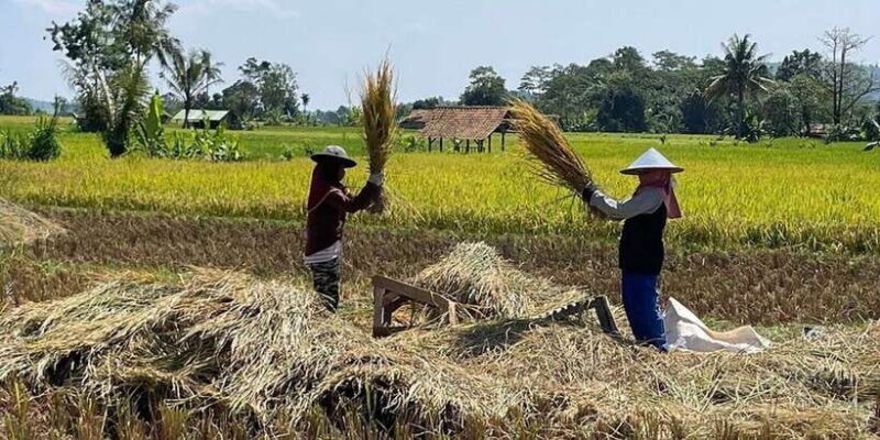 Jakarta: Volcano, Tea/Rice Fields, Hot Spring, Local Food - FAQ