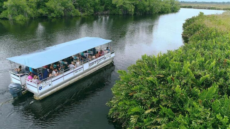 Jamaica: Black River Safari Guided Tour and YS Falls Tour - An Honest Look at the Experience