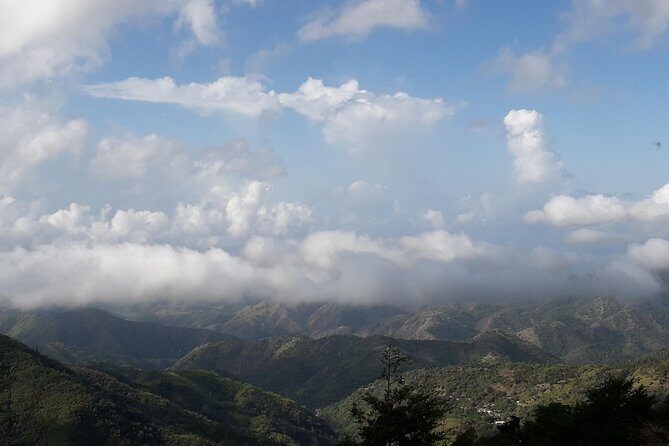 Jamaica Blue Mountain Guided Nature Tour - Key Points