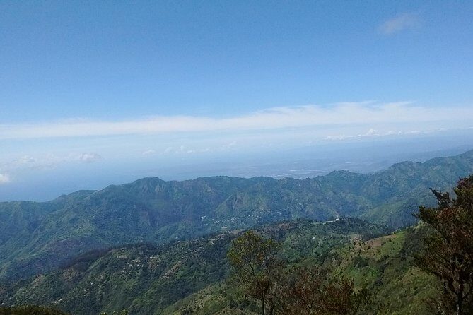 Jamaica Blue Mountain Guided Nature Tour - Final Thoughts