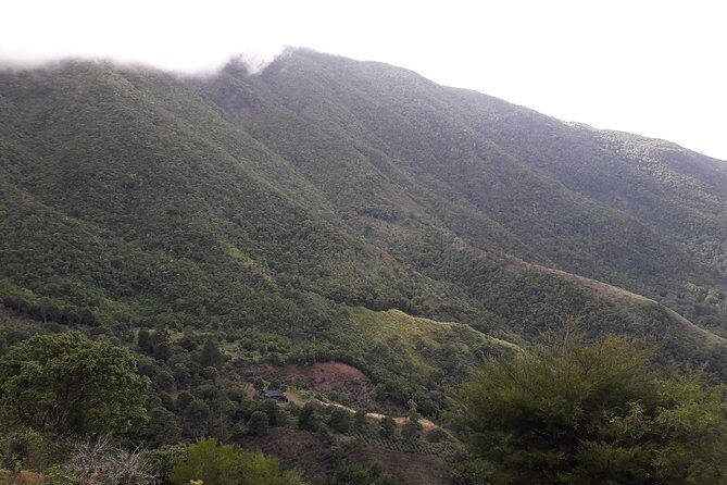 Jamaica Blue Mountain Guided Nature Tour - FAQ