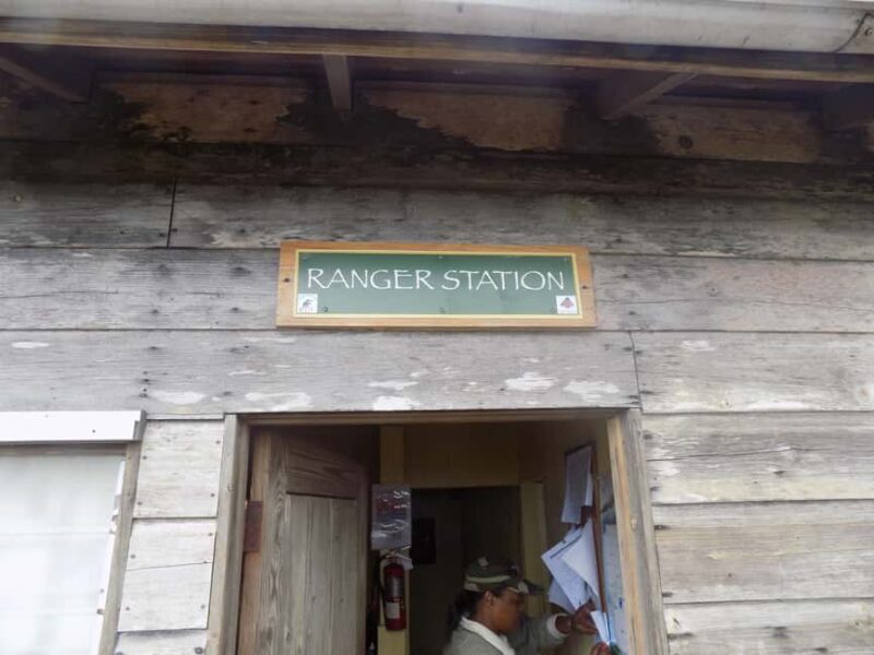 Jamaica: Blue Mountain Peak Hiking Tour - Setting the Scene: From Kingston to the Clouds