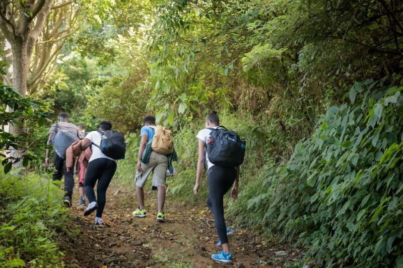 Jamaica: Blue Mountain Peak Hiking Tour - Reaching the Peak and Watching the Sunrise