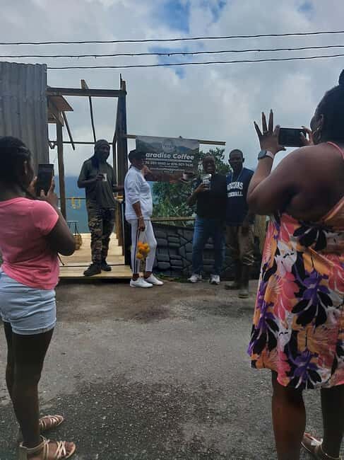 Jamaica Blue Mountains: Coffee tasting and nature adventure - A Deep Dive into the Jamaica Blue Mountains Coffee Tour