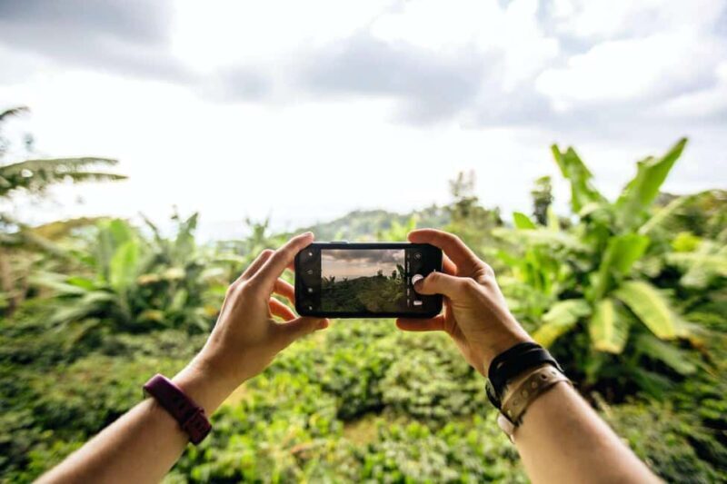 Jamaica: Blue Mountains Full Day Tour with Brunch & Lunch - Key Points