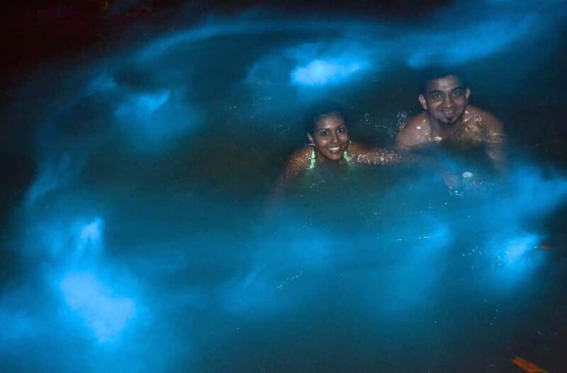 Jamaica: Bob Marley, Dunn's River Falls and Luminous Lagoon - Why This Tour Offers Good Value