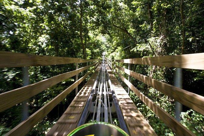 Jamaica Bobsled (Mystic Silver) Adventure Tour - Who Should Consider This Tour?