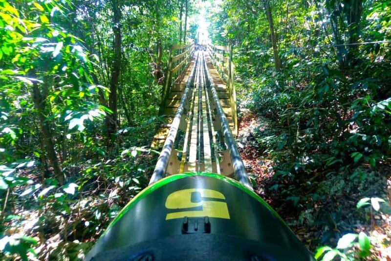 Jamaica Bobsled & Zipline (Mystic Gold) from Montego Bay - Who Is This Tour Best For?