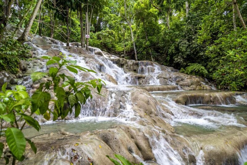 Jamaica: Dunn's River and Nine Miles - Key Points