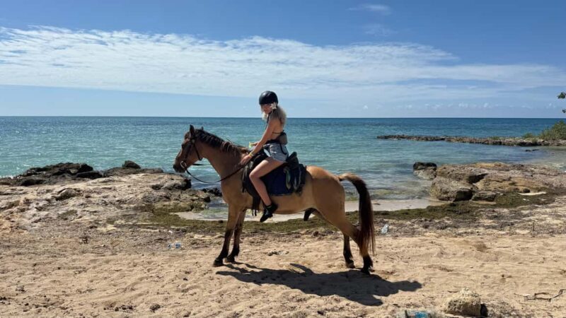 Jamaica: Horseback Riding and Sunset Catamaran Cruise - A Close Look at the Experience