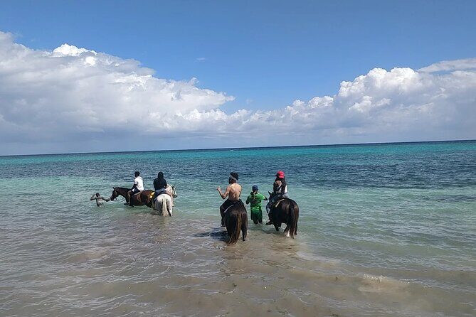 Jamaica Horseback Riding Experience Missile Green Island Hanover - Final Thoughts