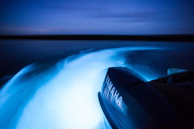 Jamaica Luminous Lagoon Private Tour with Transportation - Who Should Consider This Tour?