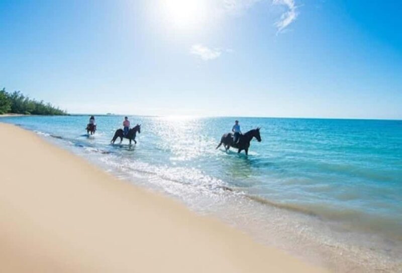 Jamaica: Private Horseback Ride and Swim in the Sea - A Closer Look at the Tour Itinerary