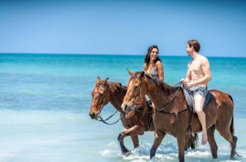 Jamaica: Private Horseback Ride and Swim in the Sea - The Value of This Experience