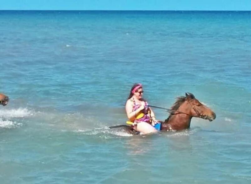 Jamaica: Private Horseback Ride and Swim in the Sea - Final Thoughts: Who Will Enjoy This Tour?