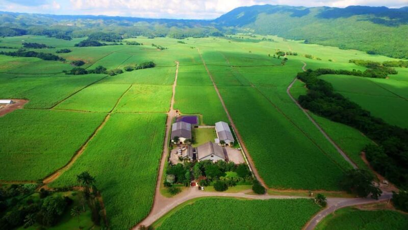 Jamaica: Worthy Park Rum Estate - Key Points