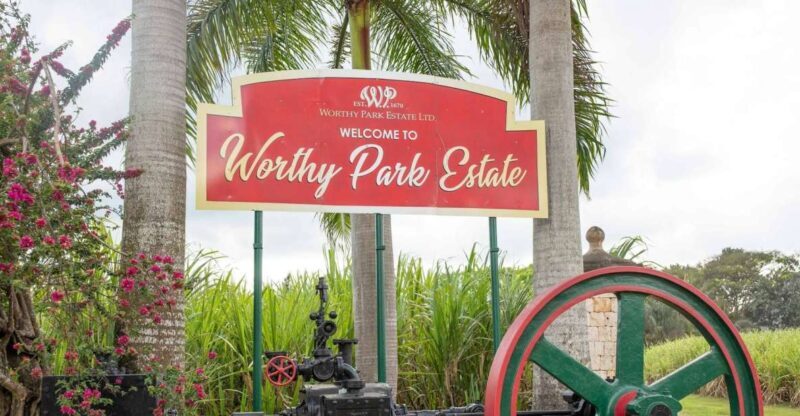 Jamaica: Worthy Park Rum Estate - Detailed Review: Why You Should Consider This Tour
