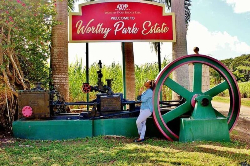 Jamaica: Worthy Park Rum Estate Tour - A Detailed Look at the Worthy Park Rum Estate Tour