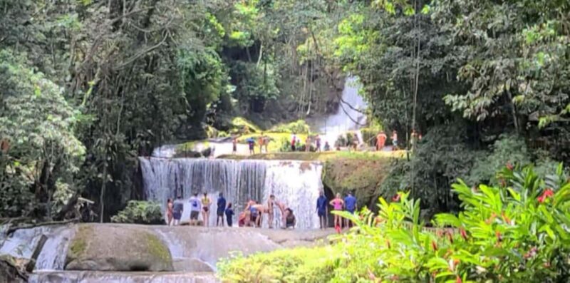 Jamaica: YS Falls and Black River Safari Tour - Key Points