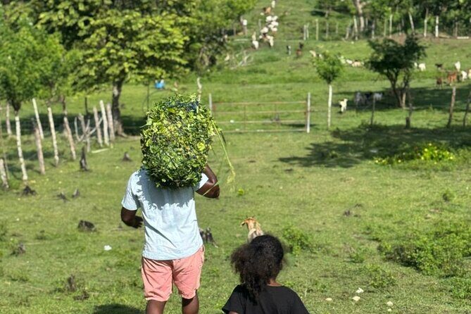 Jamaican Farm Life, Local Beach Experience - Family Friendly - Final thoughts