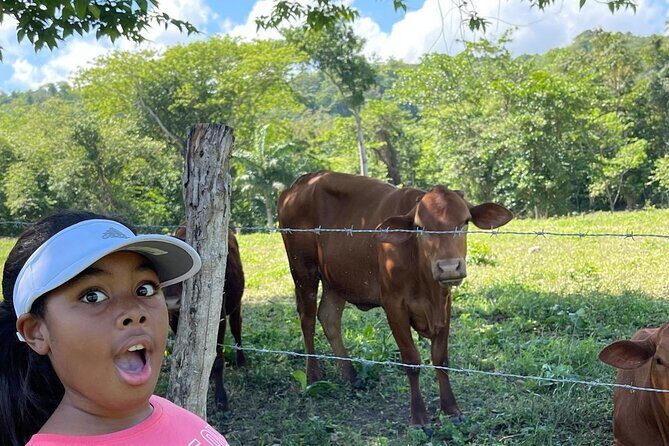 Jamaican Farm Life, Local Beach Experience - Family Friendly - FAQ