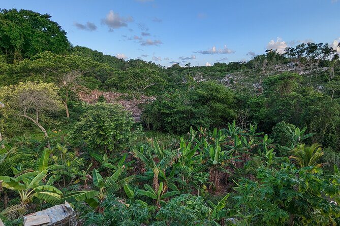 Jamaican Roots Tropical Farm Tour - Taste & Explore (Negril) 2hr - Authentic, Delicious, and Educational