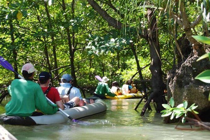 James Bond Island Sea Canoe Tour by Longtail Boat from Phuket (SHA Plus) - Who Should Consider This Tour?